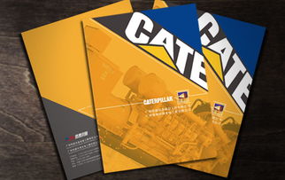 2011年廣州博凱品牌策劃設(shè)計機構(gòu) 白云區(qū)專業(yè)廣告設(shè)計與畫冊創(chuàng)作